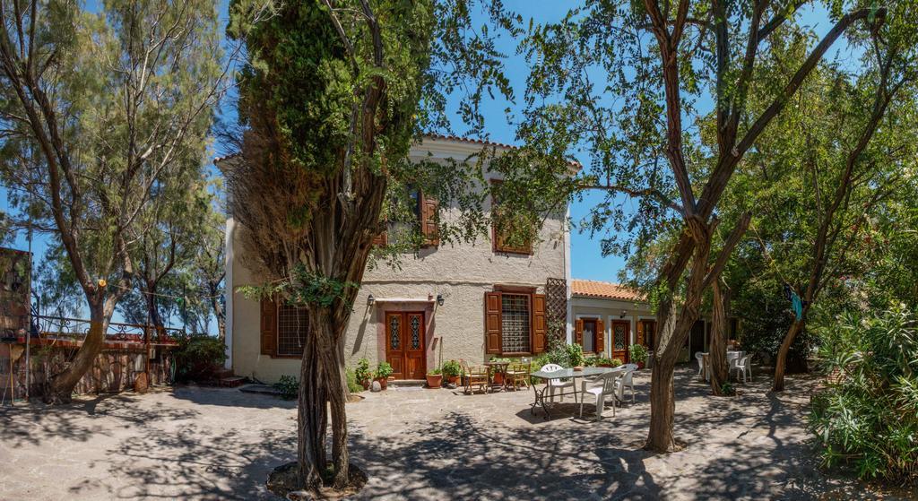Lela Kaptani Eftalou Olive Grove 米蒂姆纳 外观 照片