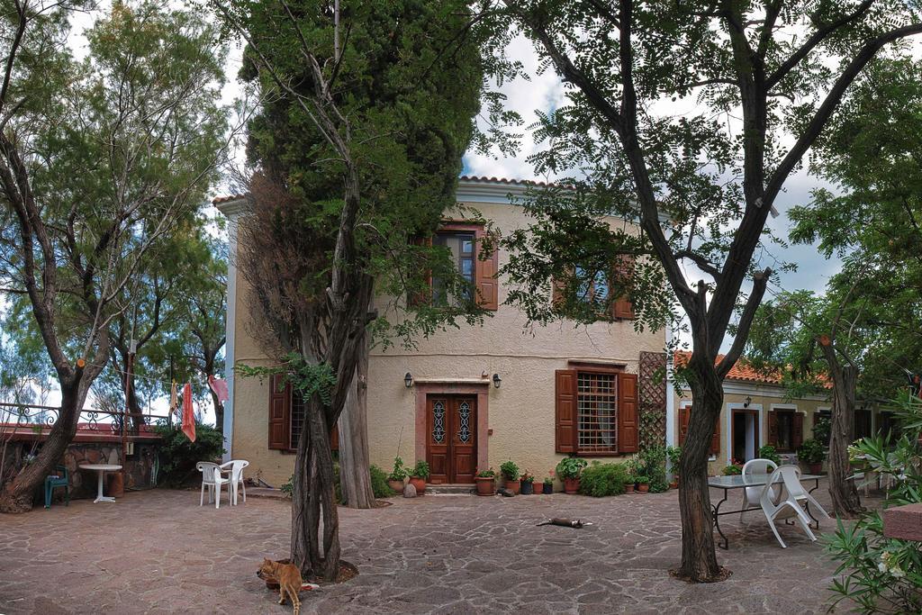 Lela Kaptani Eftalou Olive Grove 米蒂姆纳 外观 照片