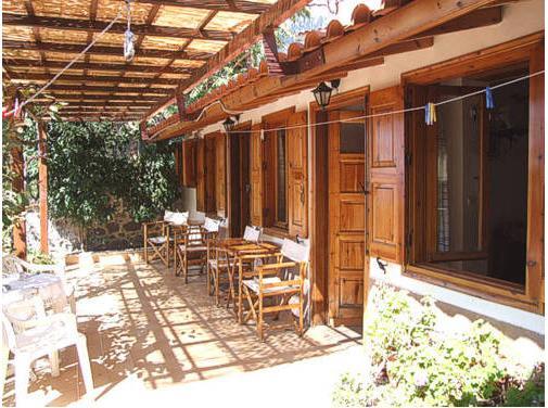 Lela Kaptani Eftalou Olive Grove 米蒂姆纳 外观 照片